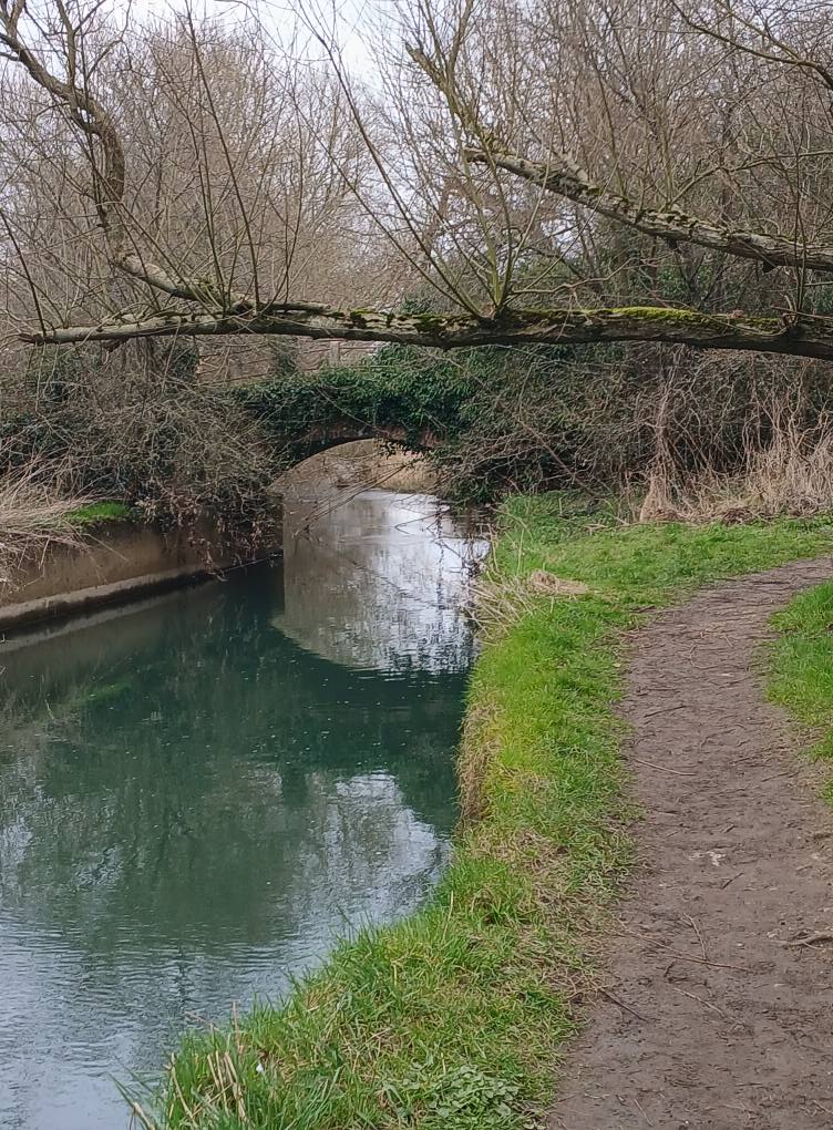 Beautiful Barefoot Benefits: Connecting with the Earth